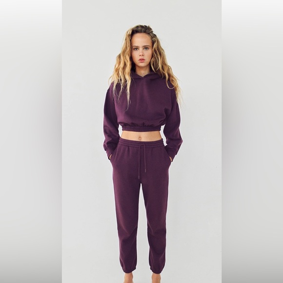 Zara Other - Zara purple pants set